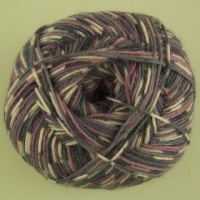 WYS - Signature 4 Ply - Country Birds - 864 Wood Pigeon